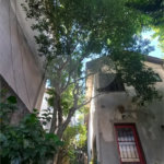 Casa de Vila à venda com 2 quartos em São Judas, São Paulo, SP