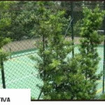 Apartamento à venda ou para alugar com 3 quartos, sendo 1 suíte, em Jardim Ampliação, São Paulo, SP