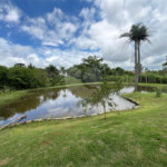 Terreno à venda no condomínio Residencial Quinta das Palmeiras, Itapetininga - SP