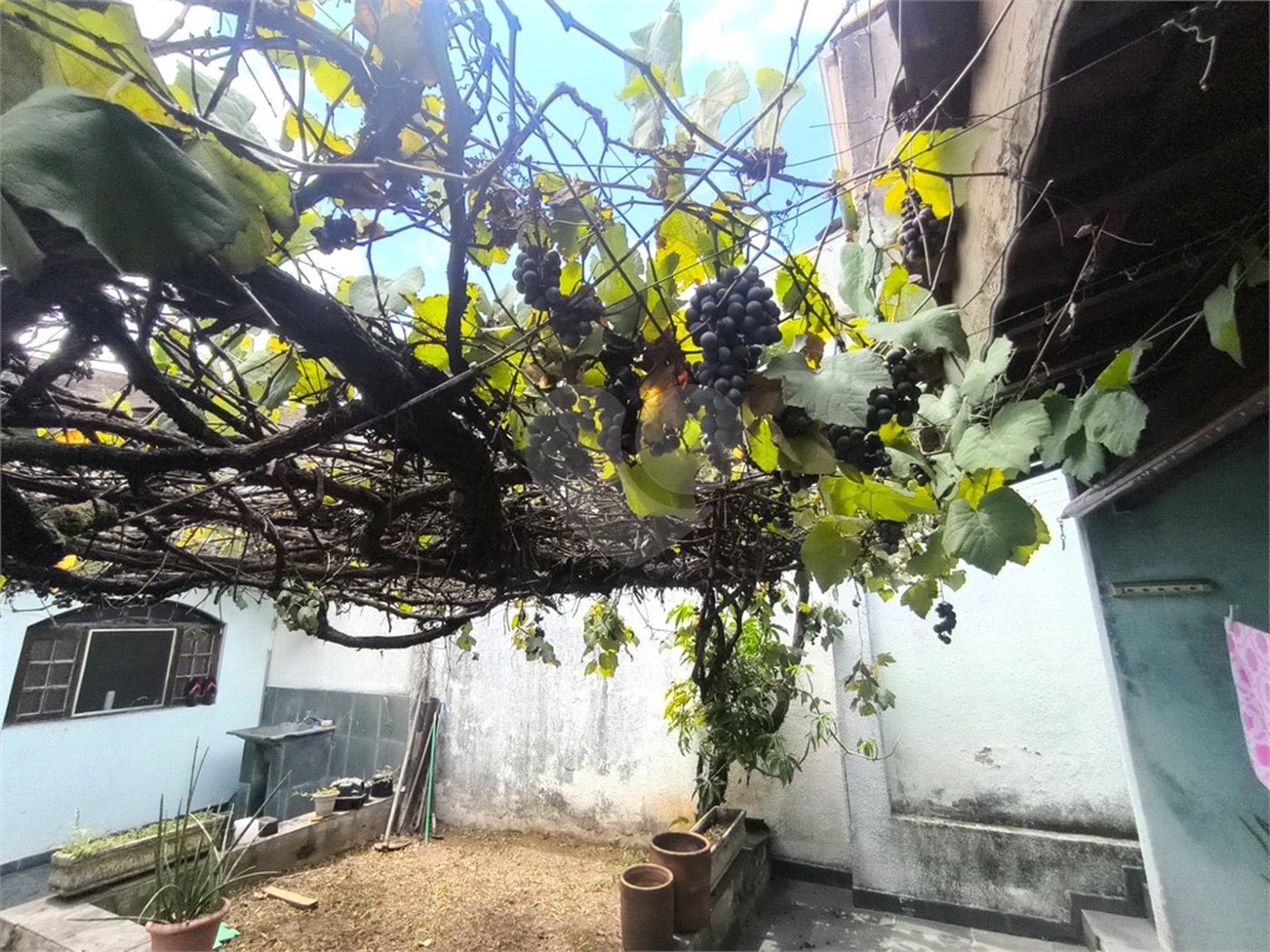 Casa à venda com 5 quartos, sendo 2 suítes, em Jardim Umarizal, São Paulo, SP
