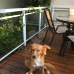 Sobrado à venda com 4 quartos, sendo 1 suíte, em Jardim Novo Mundo, São Paulo, SP
