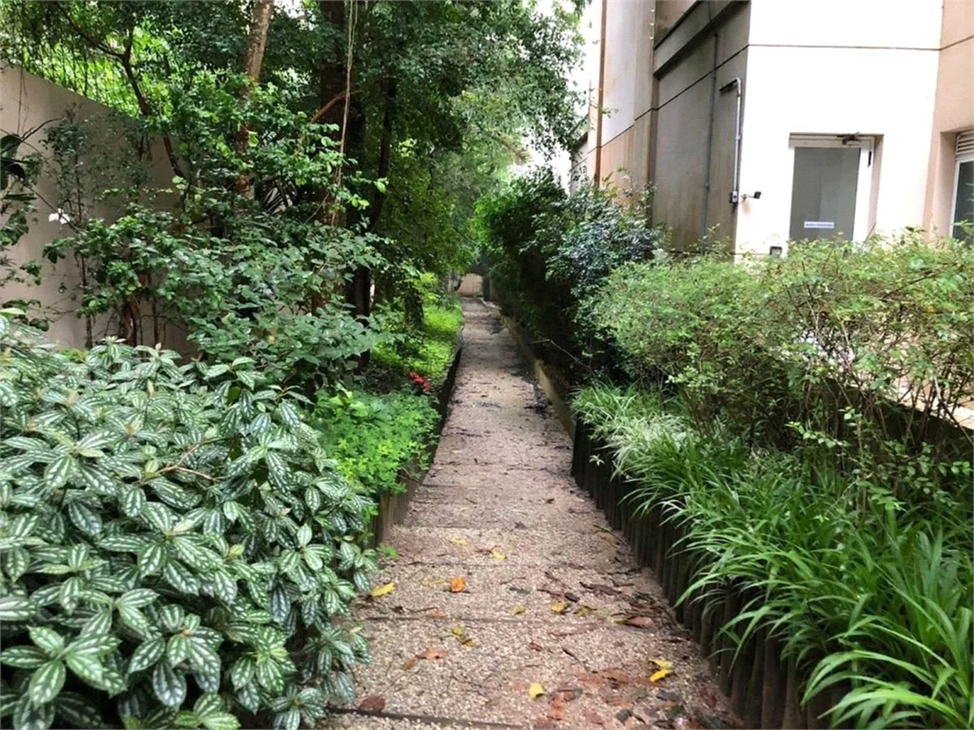 Apartamento à venda com 3 quartos, sendo 1 suíte, em Jardim Ampliação, São Paulo, SP