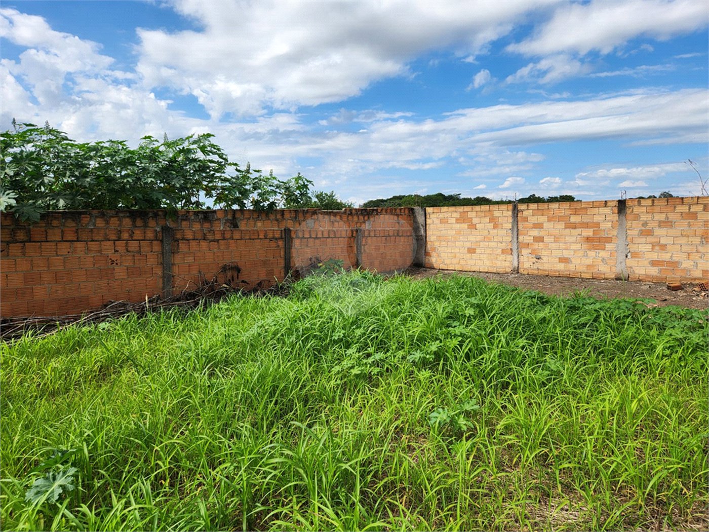 Terreno à venda em Parque Alvorada, Araraquara, SP