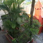 Sobrado à venda ou para alugar com 5 quartos, sendo 1 suíte, em Freguesia do Ó, São Paulo, SP