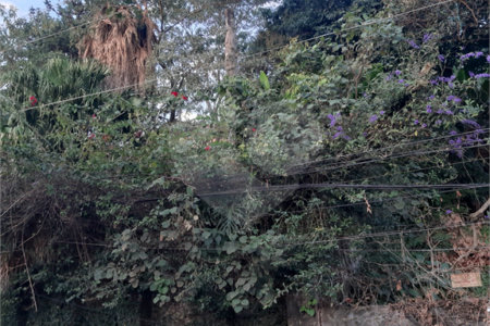 Terreno à venda em Vila Gustavo, São Paulo, SP