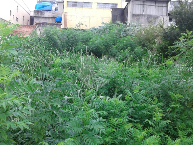 Terreno à venda em Imirim, São Paulo, SP