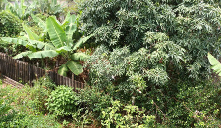Chácara à venda com 5 quartos em Residencial Praia Dos Namorados, Americana, SP