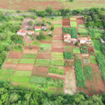 Terreno à venda em Jardim Itaú, Ribeirão Preto, SP