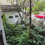 Casa à venda com 3 quartos em Jardim Franca, São Paulo, SP