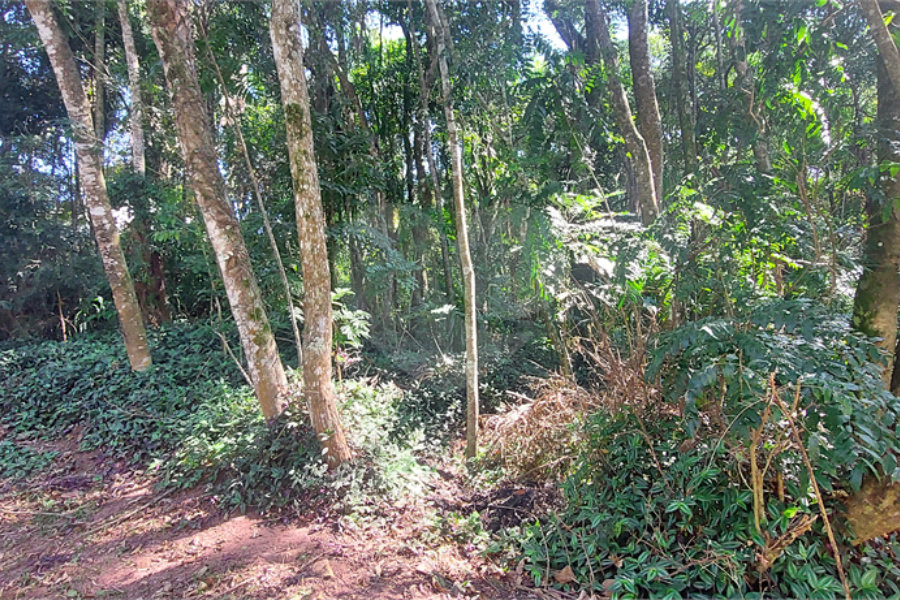 Terreno à venda no condomínio Sausalito, Mairiporã - SP