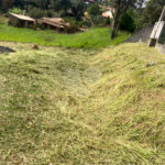 Terreno à venda em Alto da Serra (mailasqui), São Roque, SP