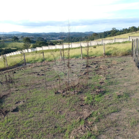 Terreno à venda em Jardim Aracy, Mogi das Cruzes, SP