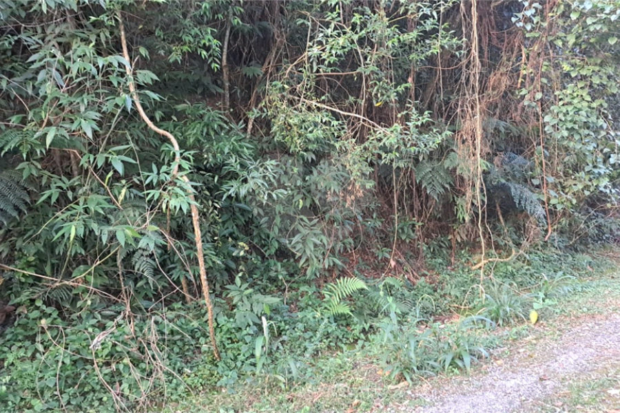 Terreno à venda no condomínio Associação Reserva das Hortênsias, Mairiporã - SP