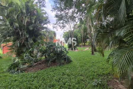 SÍTIO À VENDA EM ELIAS FAUSTO 21.900 m² - ÓTIMA TOPOGRAFIA E EXCELENTE LOCALIZAÇÃO