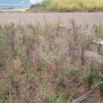 Lote no Jardim do Bosque, aceita financiamento ou aquisição de terreno e construção .