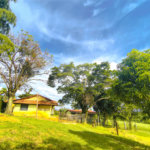 Sítio à venda com 3 quartos em Campo de Boituva, Boituva, SP