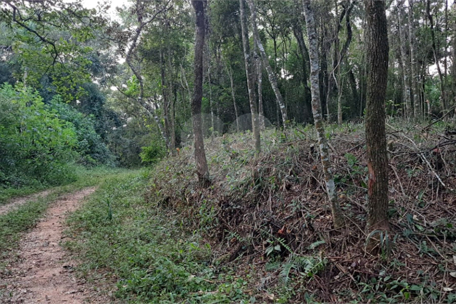 Terreno à venda em Roseira, Mairiporã, SP