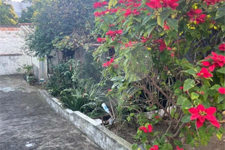 Terreno à venda em Tucuruvi, São Paulo, SP