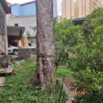 Terreno à venda em Santana, São Paulo, SP