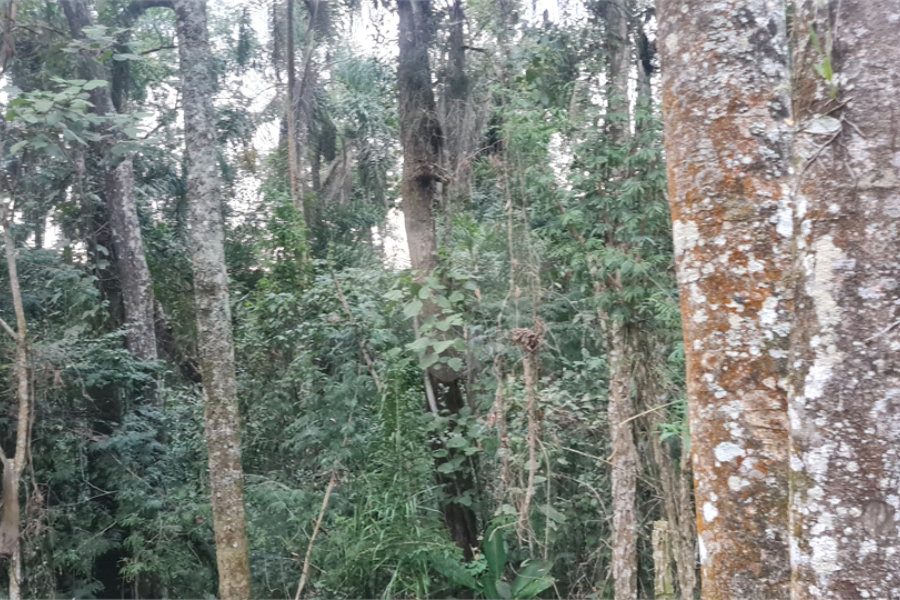 Condomínio à venda em Serra da Cantareira, Mairiporã, SP