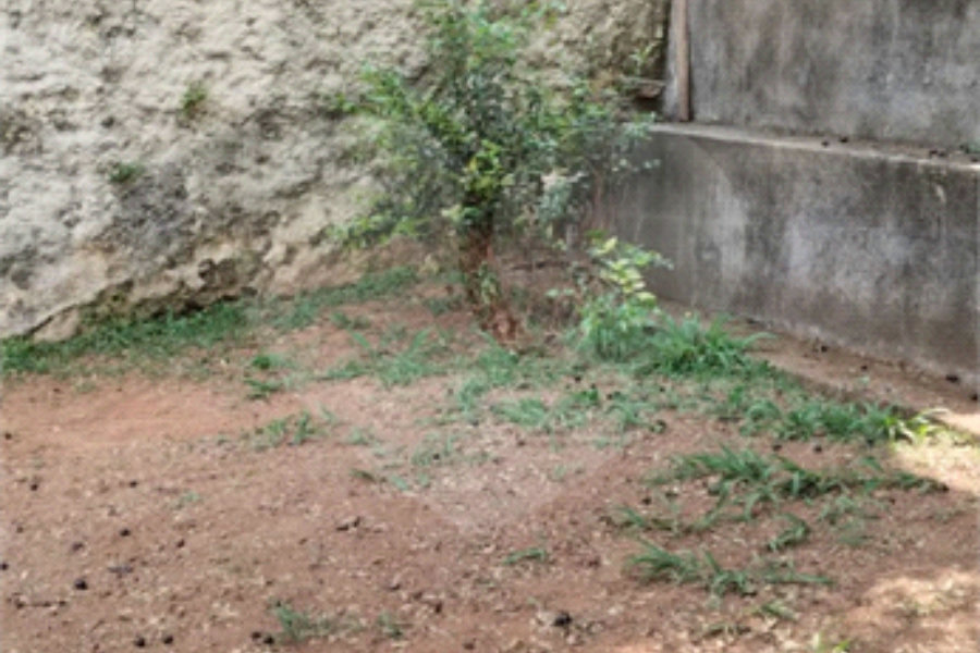 Casa Térrea à venda com 3 quartos, sendo 1 suíte, em Vila Guilherme, São Paulo, SP