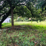 Terreno à venda em Tremembé, São Paulo, SP