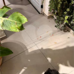 Casa à venda com 2 quartos no condomínio Alameda Vida e Lazer, Suzano - SP