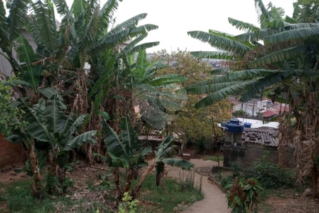 Terreno à venda em Parque Fernanda, São Paulo, SP