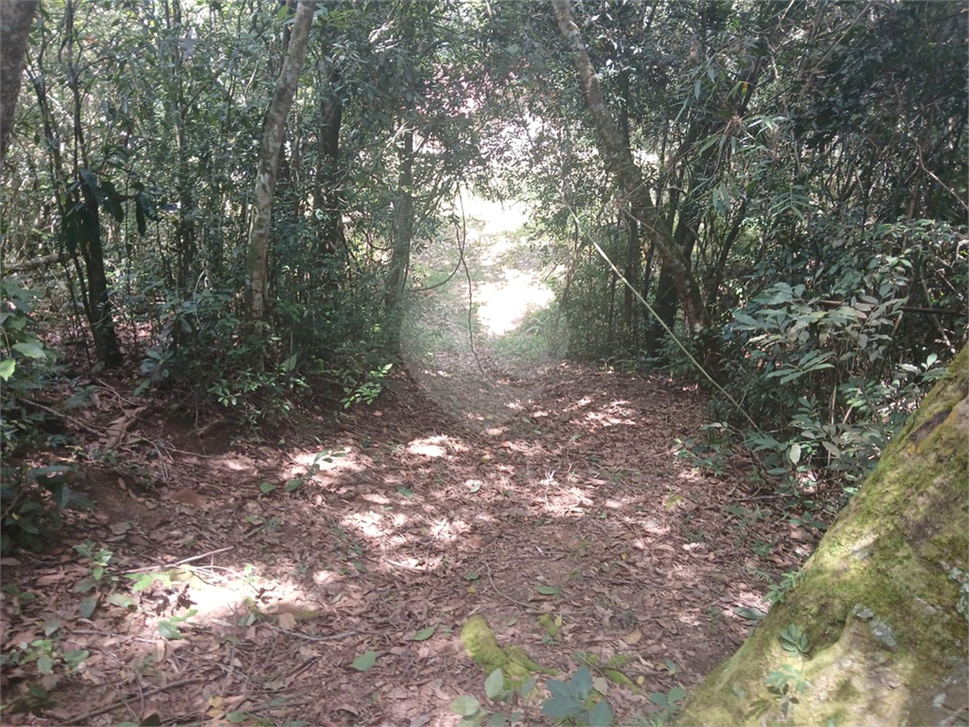 Chácara à venda em Bairro Biscoito Duro, Itapetininga, SP