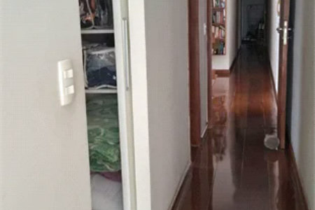 Sobrado à venda com 3 quartos, sendo 1 suíte, em Jardim Ana Maria, São Paulo, SP