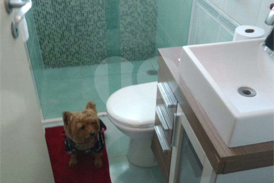 Sobrado à venda com 3 quartos, sendo 1 suíte, em Tucuruvi, São Paulo, SP