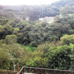 Casa à venda com 4 quartos, sendo 2 suítes,  em Horto, São Paulo, SP