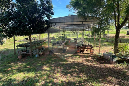 Chácara à venda em Jardim Universitário, Ponta Porã, MS