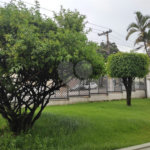 Cobertura à venda com 3 quartos, sendo 1 suíte, em Jardim Japão, São Paulo, SP