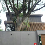 Casa à venda com 4 suítes no condomínio Plm 875, São Paulo - SP