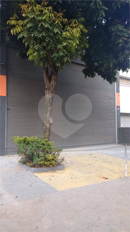 Loja para alugar em Campo Belo, São Paulo, SP