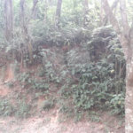 Terreno à venda no condomínio Alpes de Mairiporã, Mairiporã - SP