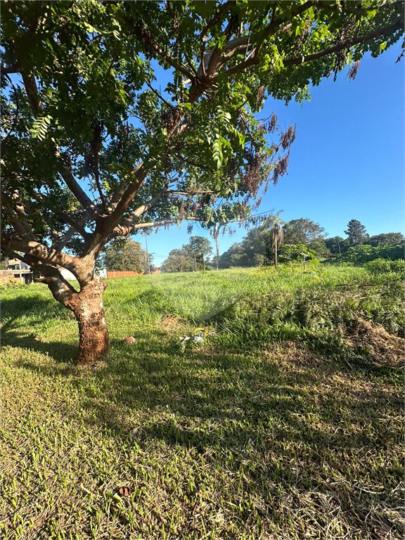 Terreno à venda em Pedro Juan Caballero, Amambay