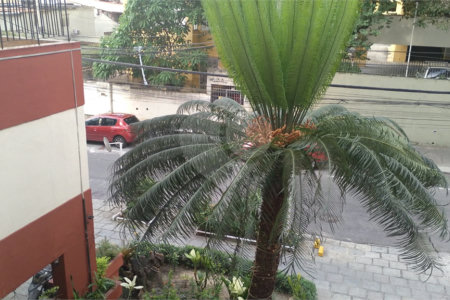 Apartamento à venda com 2 quartos, sendo 1 suíte,  em Méier, Rio de Janeiro, RJ