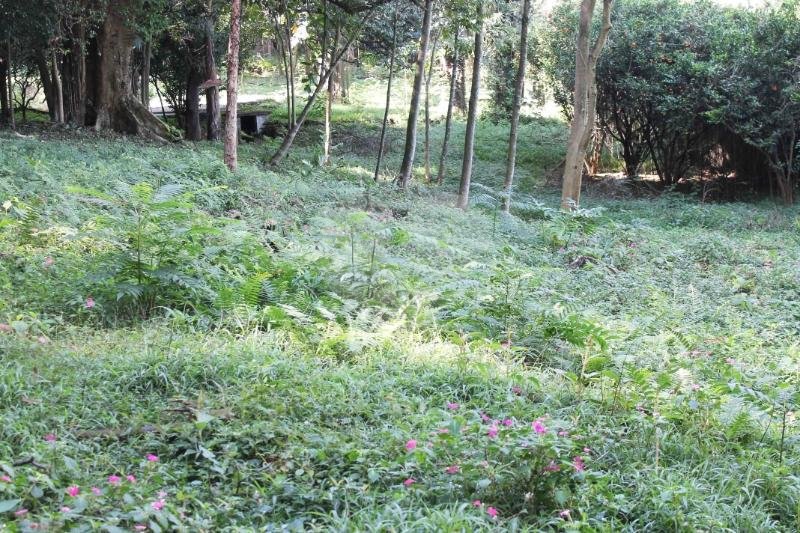 Terreno à venda no condomínio Chácara Flora, São Paulo - SP