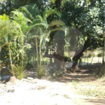 Terreno à venda em Campo Grande, Rio de Janeiro, RJ