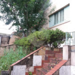 Terreno à venda com 3 quartos em Vila Guilherme, São Paulo, SP