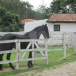 Sítio à venda com 4 suítes no Centro, Salesópolis, SP