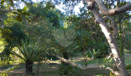 Terreno à venda em Vila Verde, Armação dos Búzios, RJ