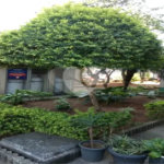 Apartamento à venda com 2 quartos em Vila Nova Cachoeirinha, São Paulo, SP