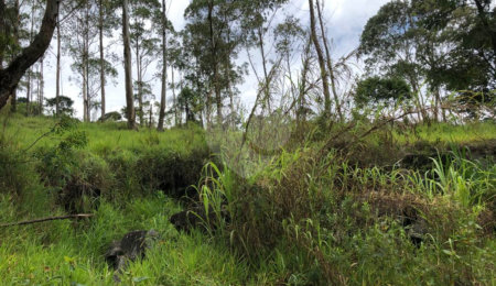 Terreno à venda em Serra da Cantareira, Mairiporã, SP