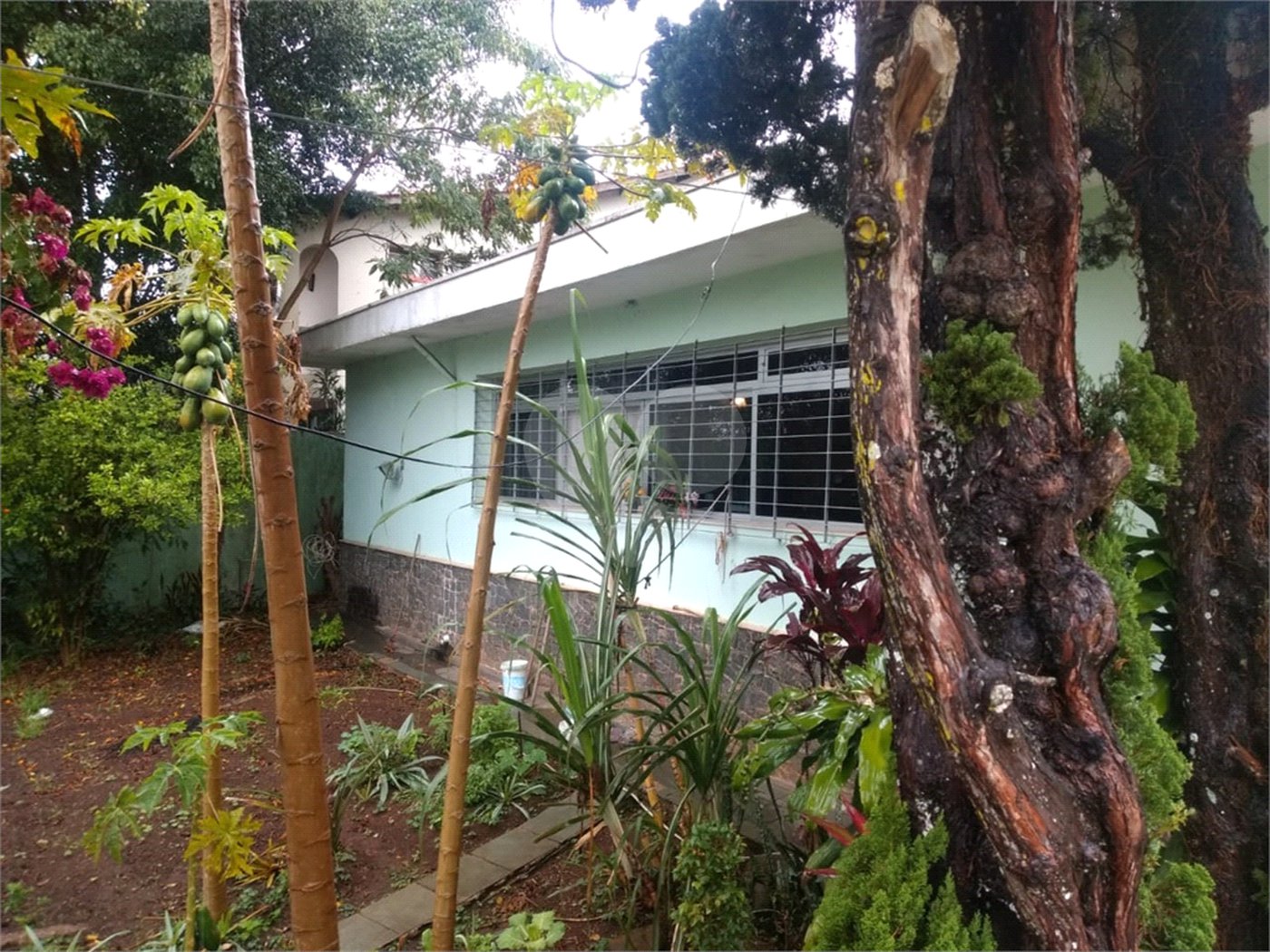 Casa Térrea à venda com 3 quartos, sendo 1 suíte, em Tucuruvi, São Paulo, SP