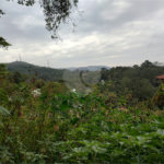 Terreno à venda em Barro Branco (zona Norte), São Paulo, SP
