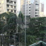 Apartamento à venda com 4 quartos, sendo 1 suíte, em Vila Uberabinha, São Paulo, SP