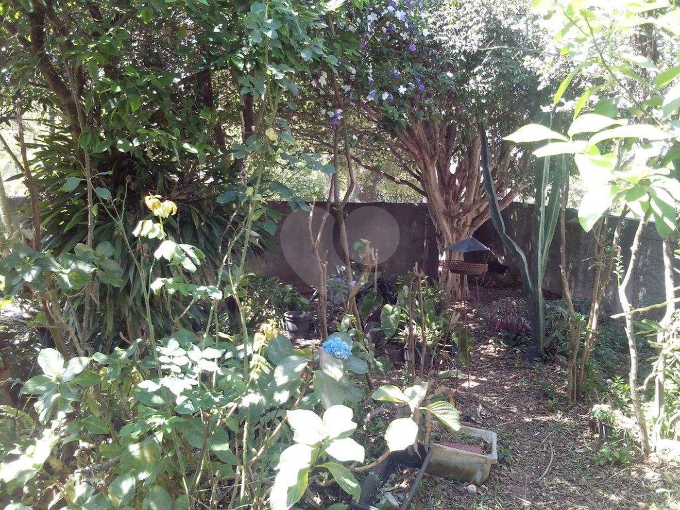 Casa à venda com 1 quarto em Mandaqui, São Paulo, SP